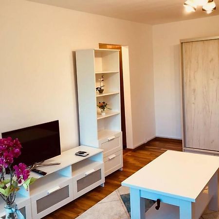 Joy City Stay Iasi 15 Timişoara Exteriör bild